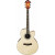 IBANEZ AEL40SE RLV