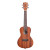 Kala Mahogany Concert Gloss Ukulele