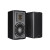 Piega TMicro 40 AMT Black