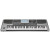 Korg PA900
