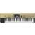 Korg KROME-61 Gold
