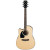 IBANEZ PF15LECE NT