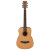 IBANEZ PF58 OPN