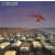 PINK FLOYD - A MOMENTARY LAPSE OF REASON 2 LP Set 1987/2021 (PFRLP37) PINK FLOYD/EU MINT (0190295079208)