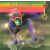 Scorpions - Fly To The Rainbow (1974/2023) Vinyl LP