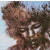 JIMI HENDRIX – THE CRY OF LOVE 1971/2014 (88843091781) EXPERIENCE HENDRIX/EU MINT (0888430917811)