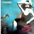 SCORPIONS - SAVAGE AMUSEMENT 1988/2015 (4050538150209, LP+CD, 180 gm.) CAROLINE RECORDS/EU MINT (4050538150209)