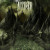ACCUSER - THE FORLORN DIVIDE 2016 (3984-15437-1, 180 gm.) METAL BLADE/EU MINT (0039841543711)