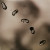 Peter Gabriel - Up Vinyl 2LP