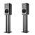 Audiovector R1 Arrete Black Ash
