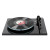 Rega Rega Planar 3 - Nd3 MM Gloss Black