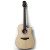 TAKAMINE EG510SC