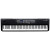 Kurzweil SP1