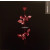 Depeche Mode: Violator Vinyl LP