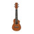 IBANEZ UEWS5