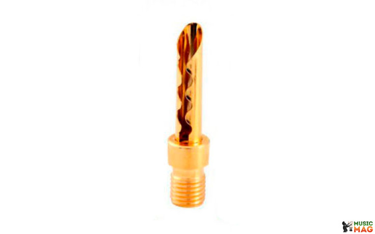 Atlas Transpose Adapters Gold Z