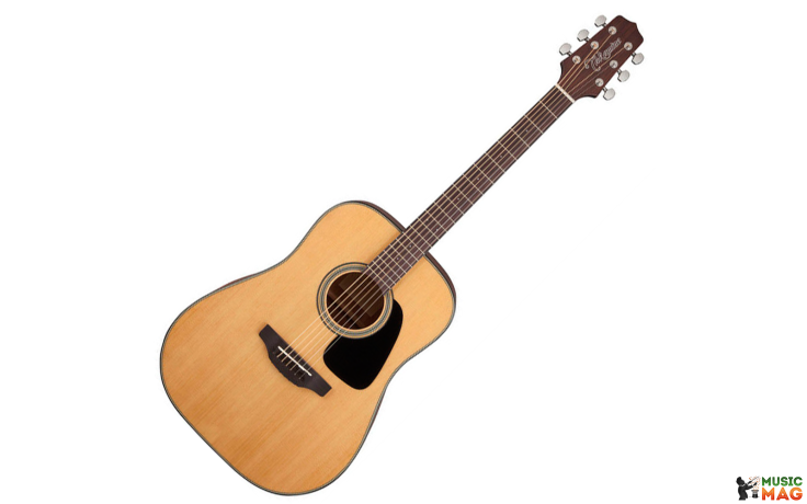 TAKAMINE GD10 NS