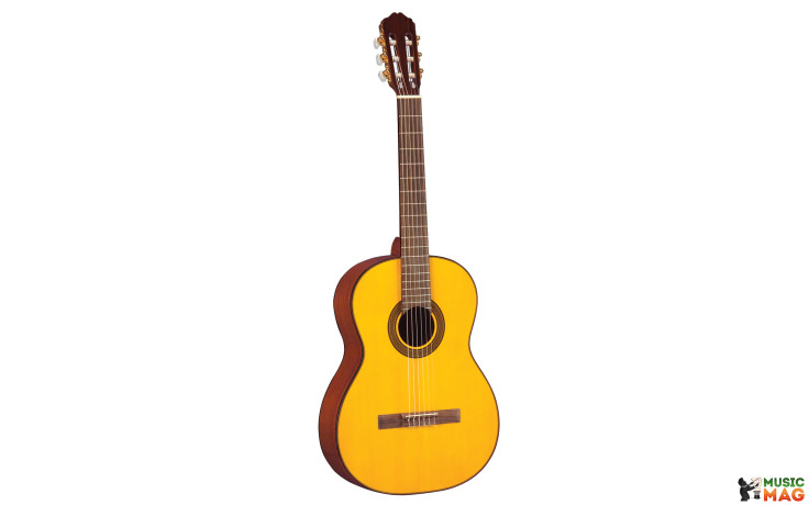 TAKAMINE G124
