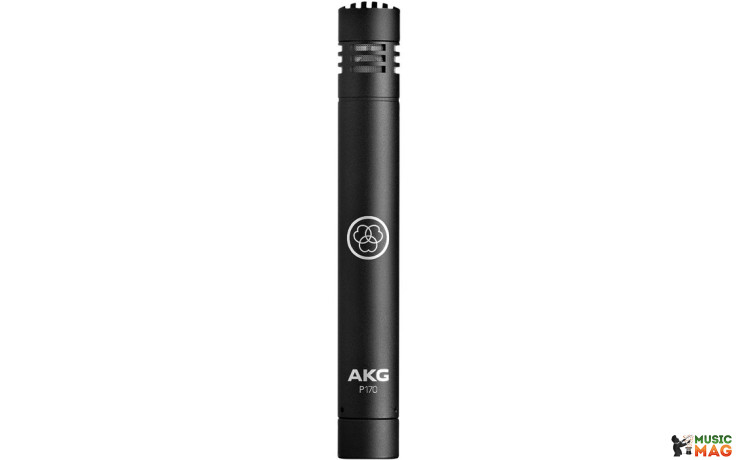 AKG Perception P170