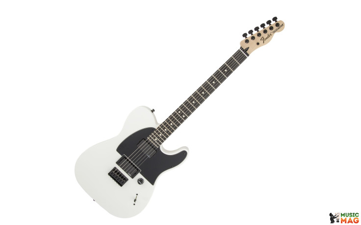 FENDER JIM ROOT TELECASTER WHT