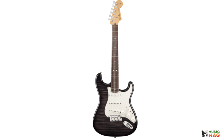 Fender CUSTOM DELUXE STRATOCASTER 2013 RW EBT