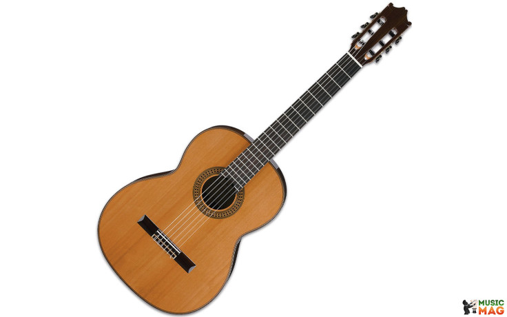 IBANEZ G500 NT