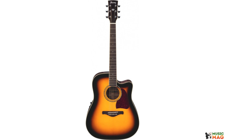 IBANEZ AW300ECE VS