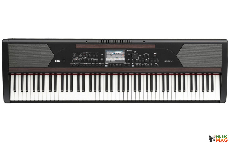 KORG HAVIAN 30
