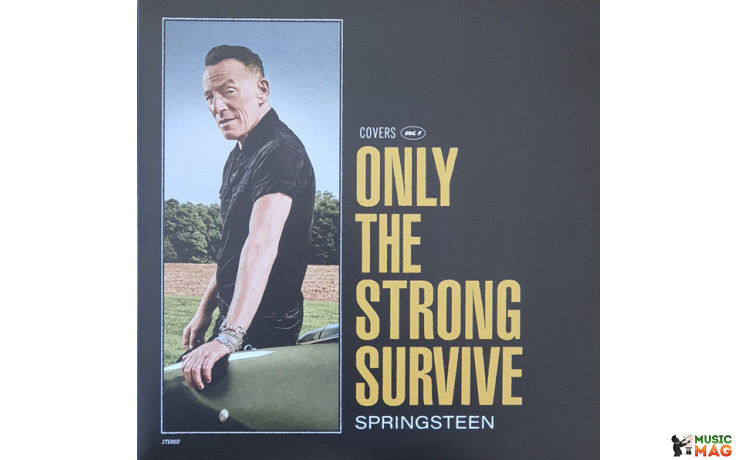 SPRINGSTEEN - ONLY THE STRONG SURVIVE (Vol.1) 2 LP Set 2022 (19658753701, LTD., Orange) EU MINT (0196587537012)