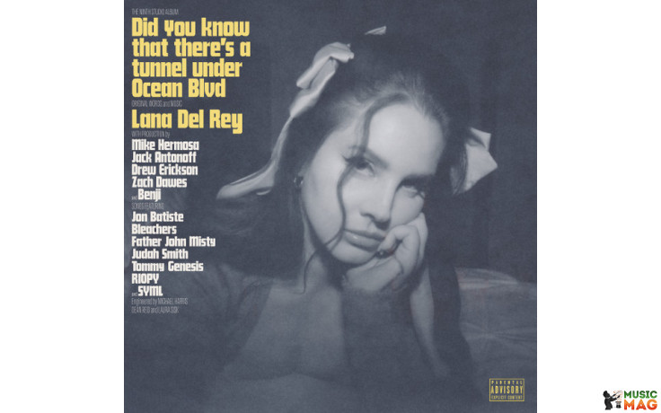 LANA DEL REY - DID YOU KNOW THAT … 2 LP Set 2023 (00602448591913) INTERSCOPE/EU MINT (0602448591913)