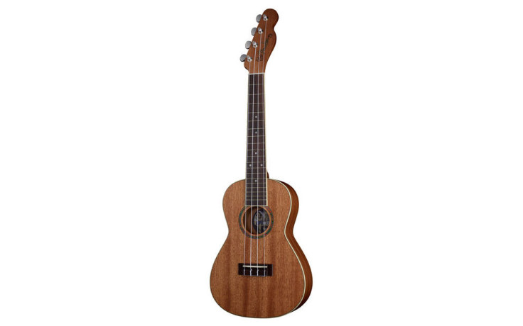 Fender UKULELE MINO'AKA CONCERT NT