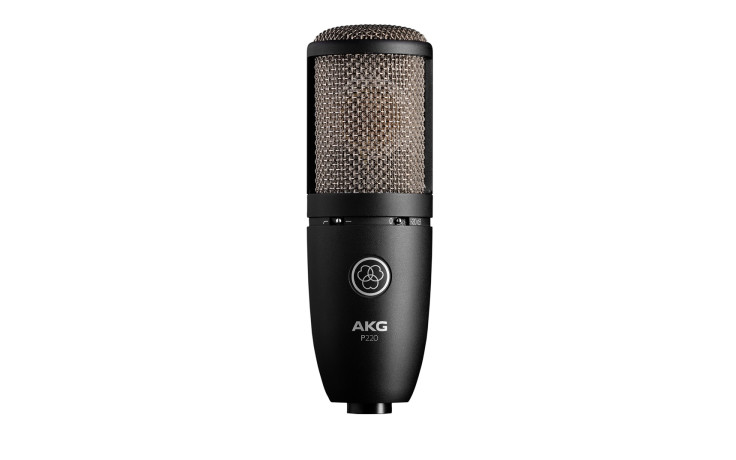 AKG Perception P220