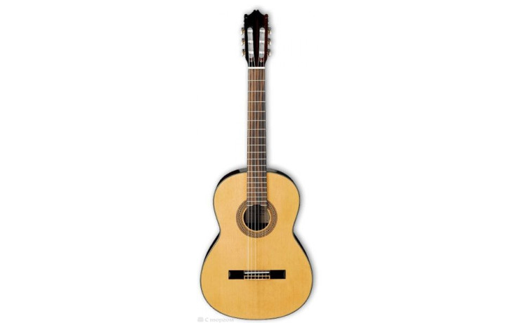 IBANEZ G100 NT