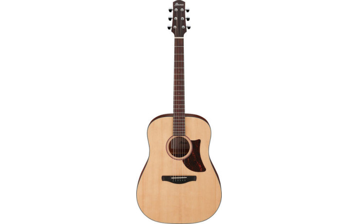 IBANEZ AAD100