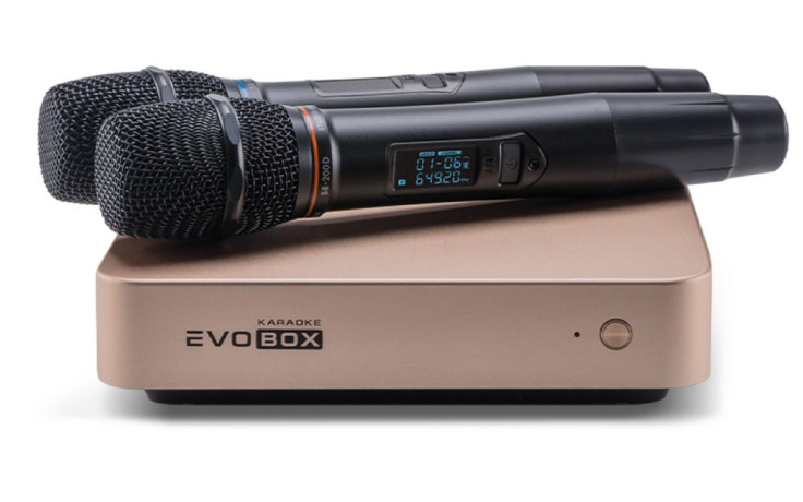 Караоке-система для дому EVOBOX Plus [Gold] + мікрофони SE 201D