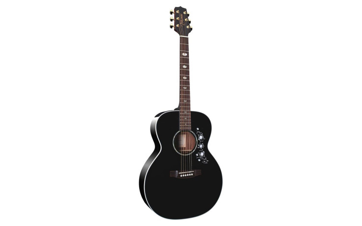 TAKAMINE EG451DLX