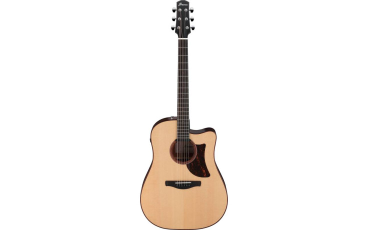 IBANEZ AAD300CE LGS
