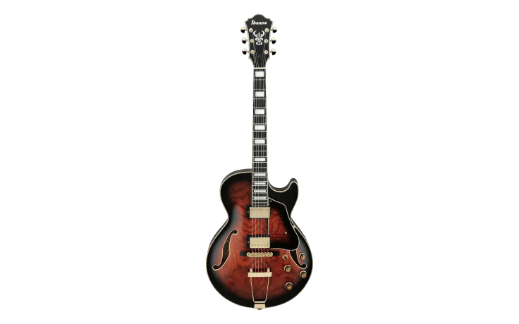 IBANEZ AG95QA-DBS