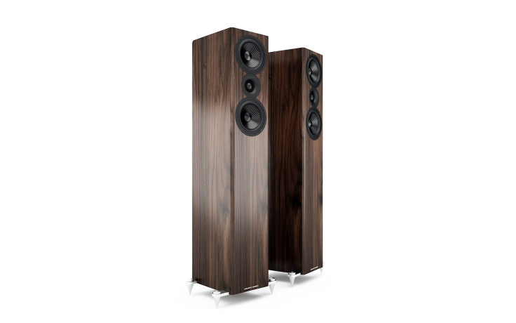 Acoustic Energy AE 509 Walnut wood veneer