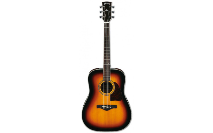 IBANEZ AW300 VS