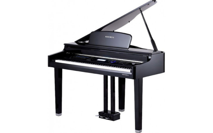 Kurzweil X-Pro MG EP