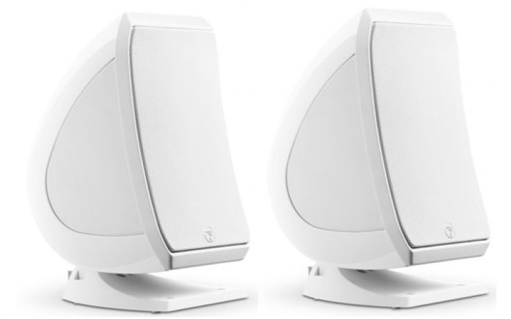 Focal-JMLab Sib