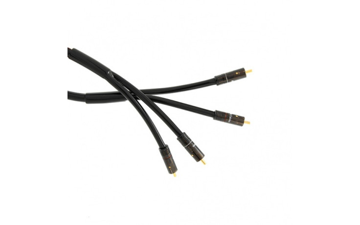 Atlas Hyper dd Duo Integra (RCA-RCA) 1m
