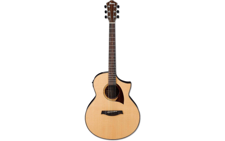 IBANEZ AEW22CD NT
