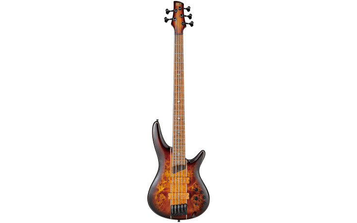 IBANEZ SR5PBLTD DEL