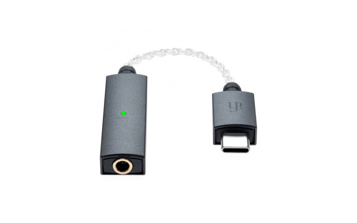 iFi GO link Black