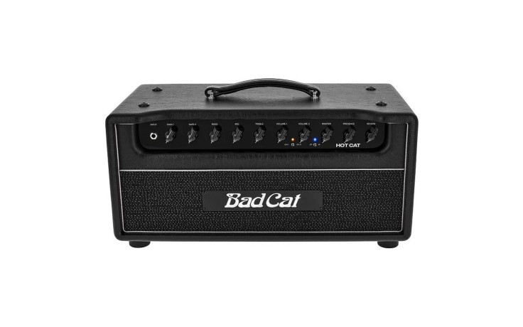 BAD CAT HOT CAT HEAD