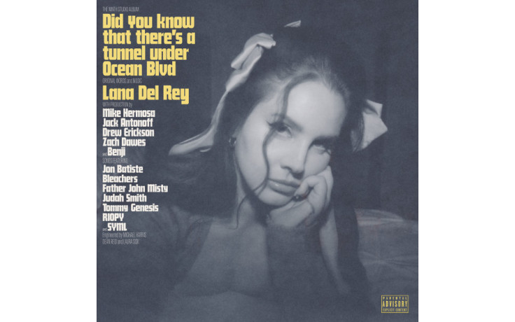 LANA DEL REY - DID YOU KNOW THAT … 2 LP Set 2023 (00602448591913) INTERSCOPE/EU MINT (0602448591913)