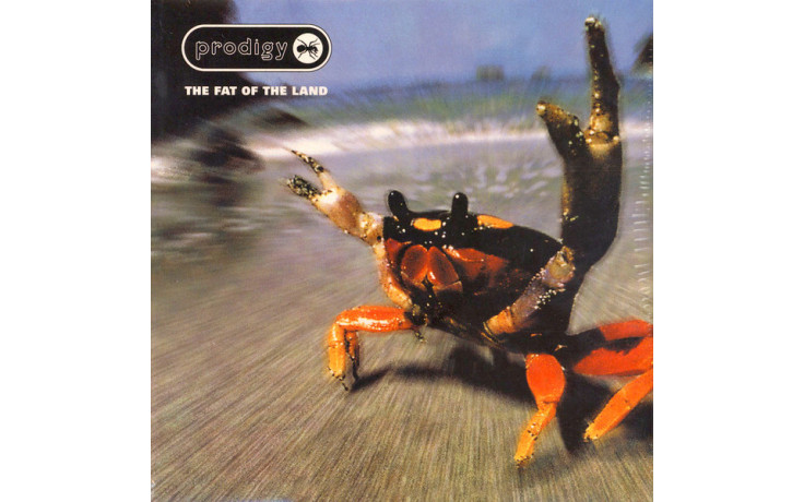 Prodigy - The Fat Of The Land Vinyl 2LP