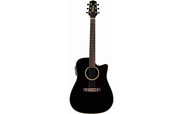 TAKAMINE EG531SSC